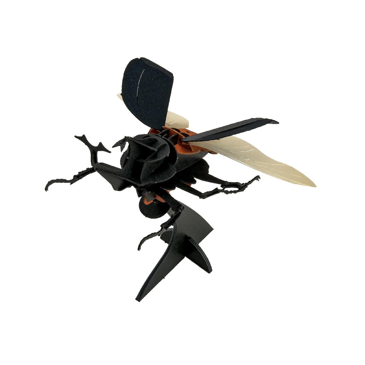 ■＜昆虫標本＞カブトムシ 3D立体ペーパーパズル 壁掛けタイプ