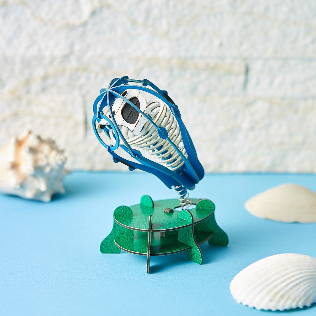 ガイコツパンダホヤ 3D立体ペーパーパズル