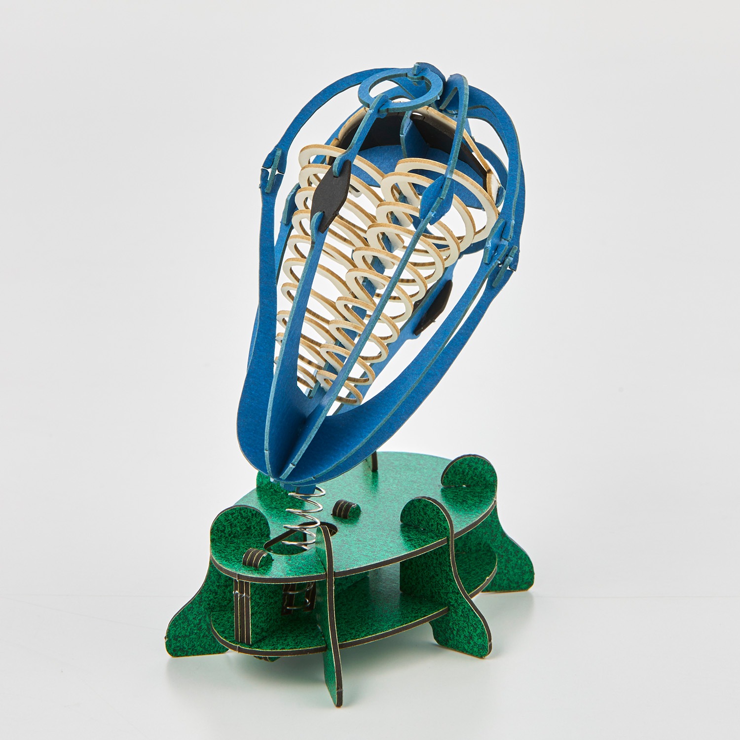 ガイコツパンダホヤ 3D立体ペーパーパズル