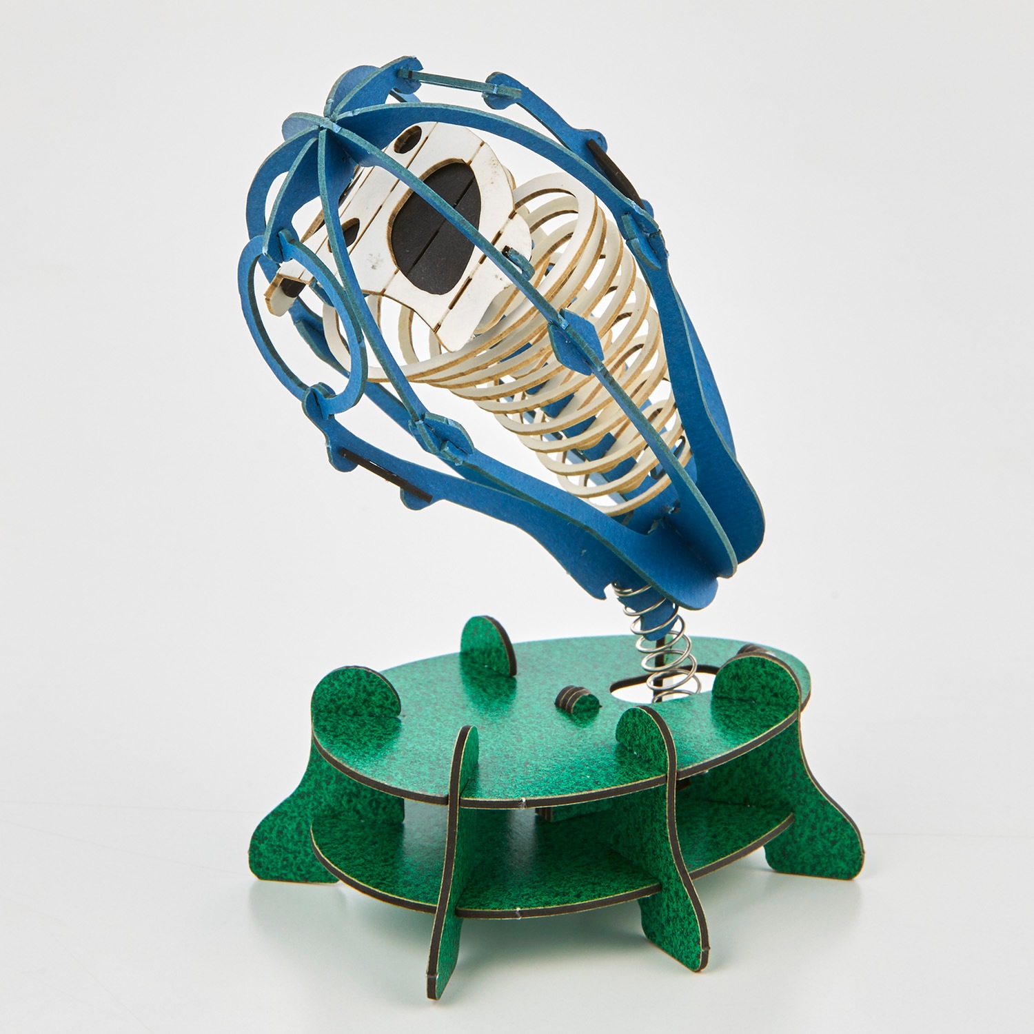 ガイコツパンダホヤ 3D立体ペーパーパズル