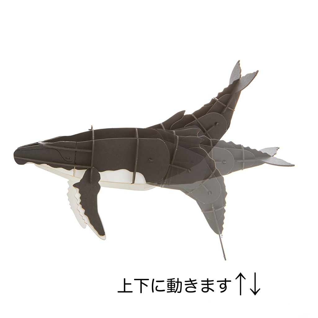 ザトウクジラ マグネット付き 3D立体ペーパーパズル