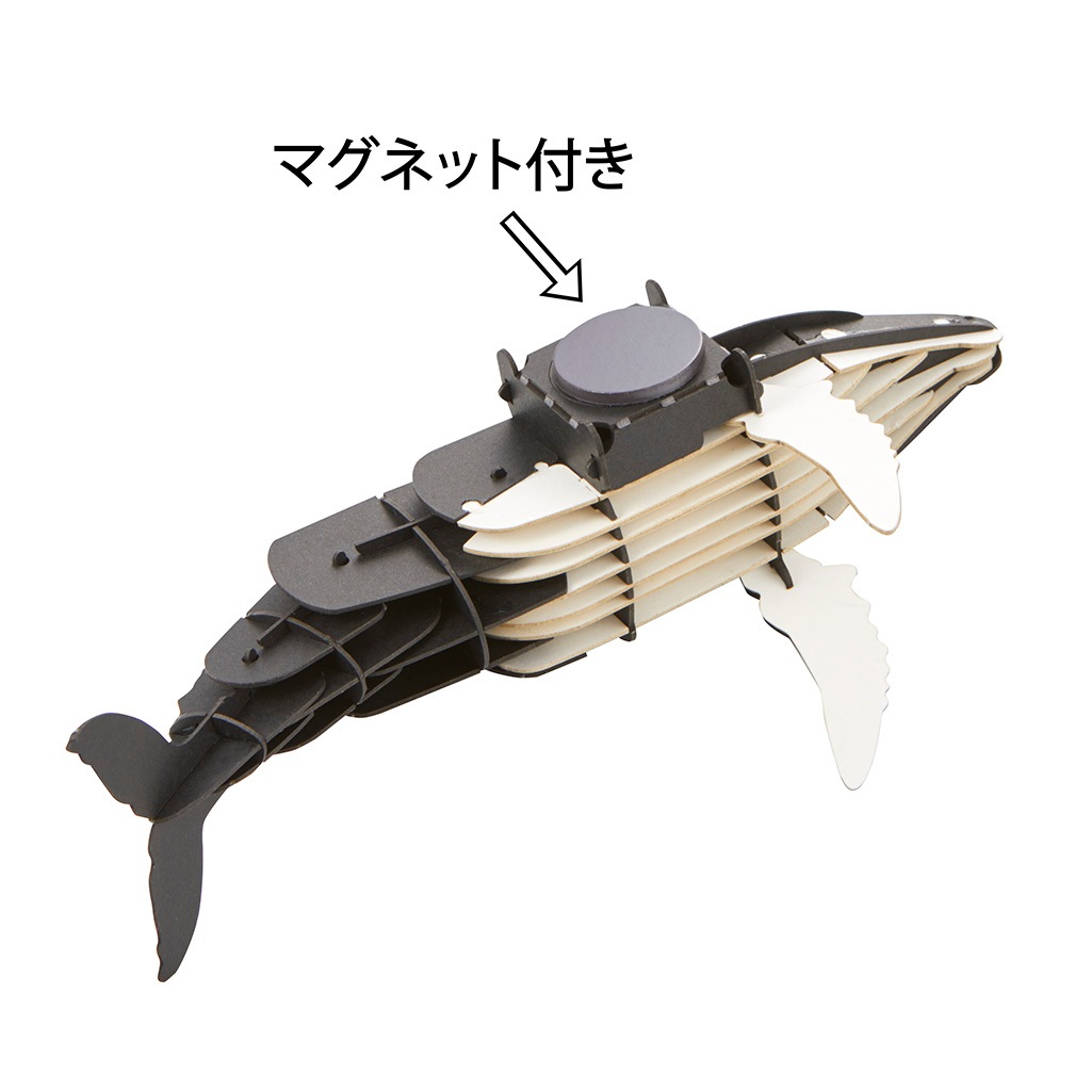 ザトウクジラ マグネット付き 3D立体ペーパーパズル | マグネット