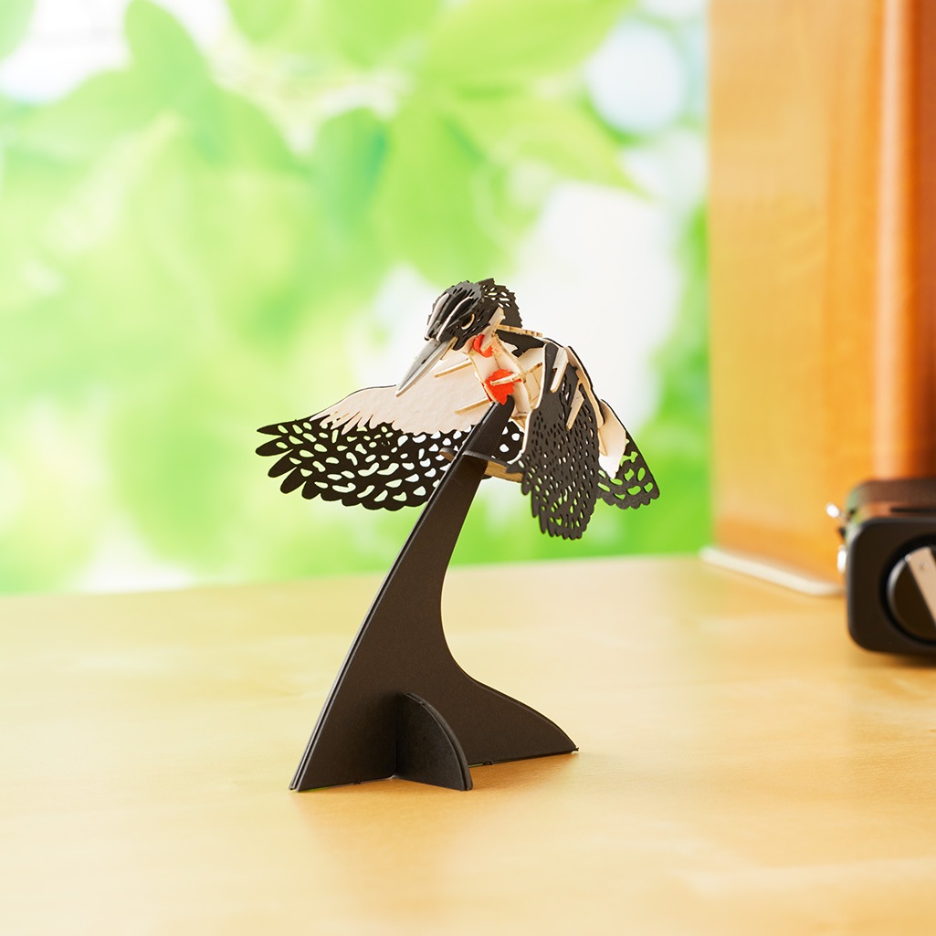 【限定15セット】父の日  ギフト ディスプレイ台付き ヤマセミ 3D立体ペーパーパズル｜メッセージプレート付き