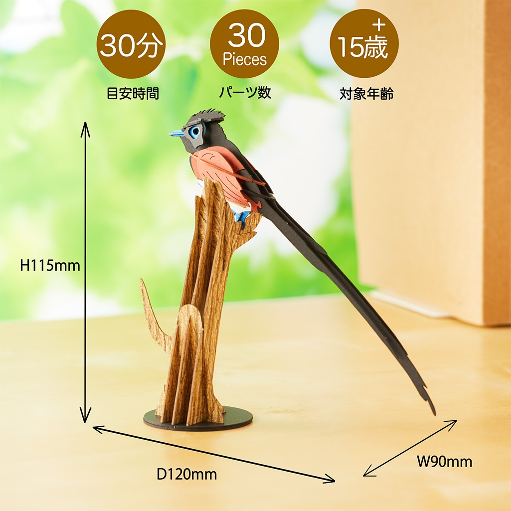 【限定15セット】父の日  ギフト ディスプレイ台付き サンコウチョウ 3D立体ペーパーパズル｜メッセージプレート付き