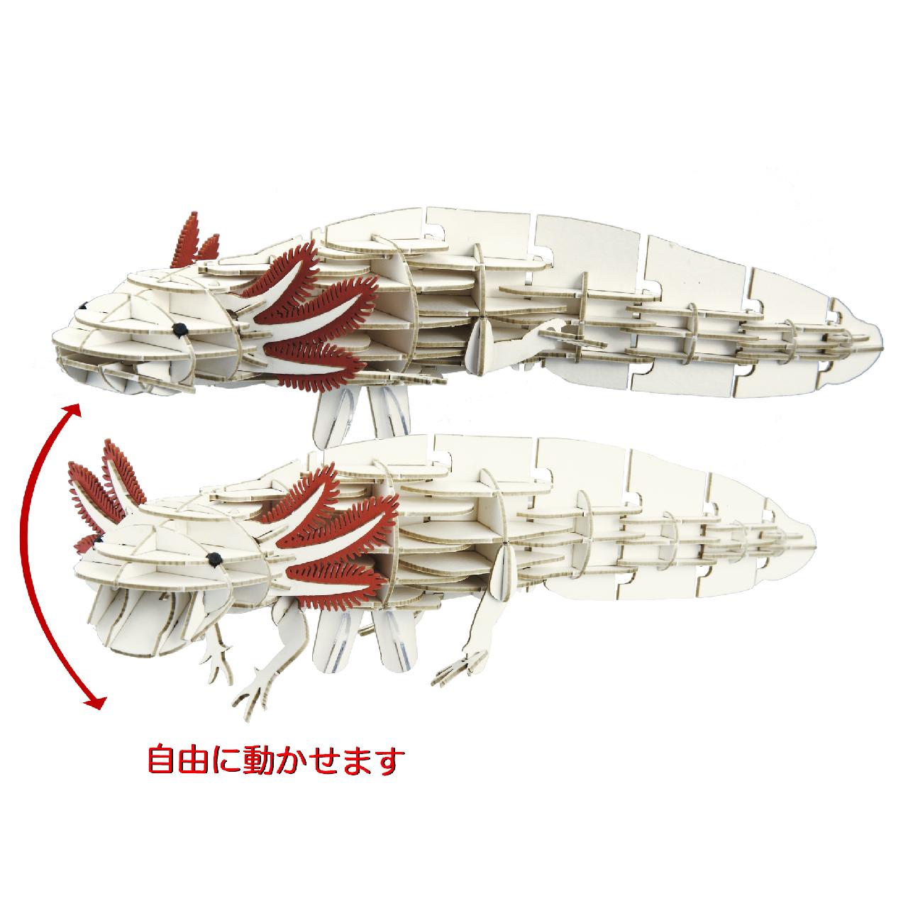 DXメキシコサラマンダー(MOVE) 3D立体ペーパーパズル