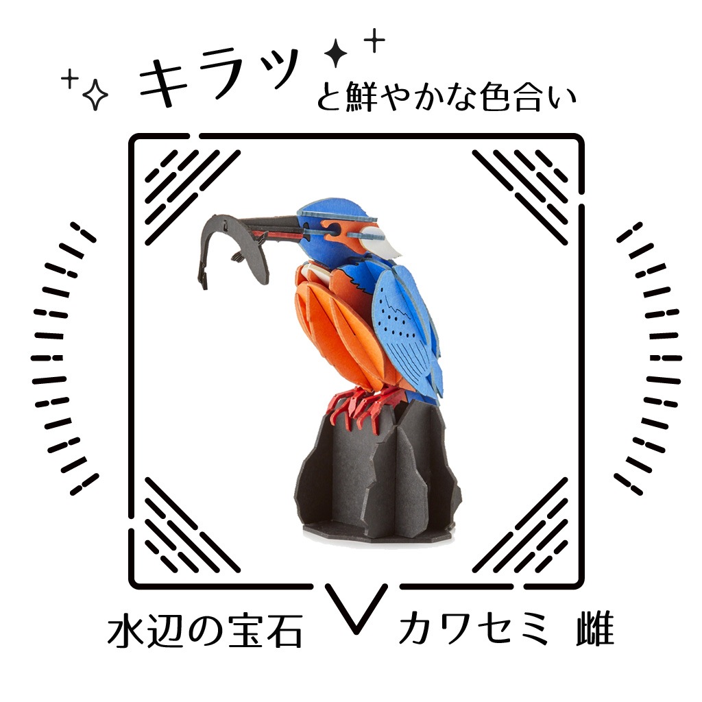 【限定15セット】父の日  ギフト ディスプレイ台付き カワセミ 雌 3D立体ペーパーパズル｜メッセージプレート付き