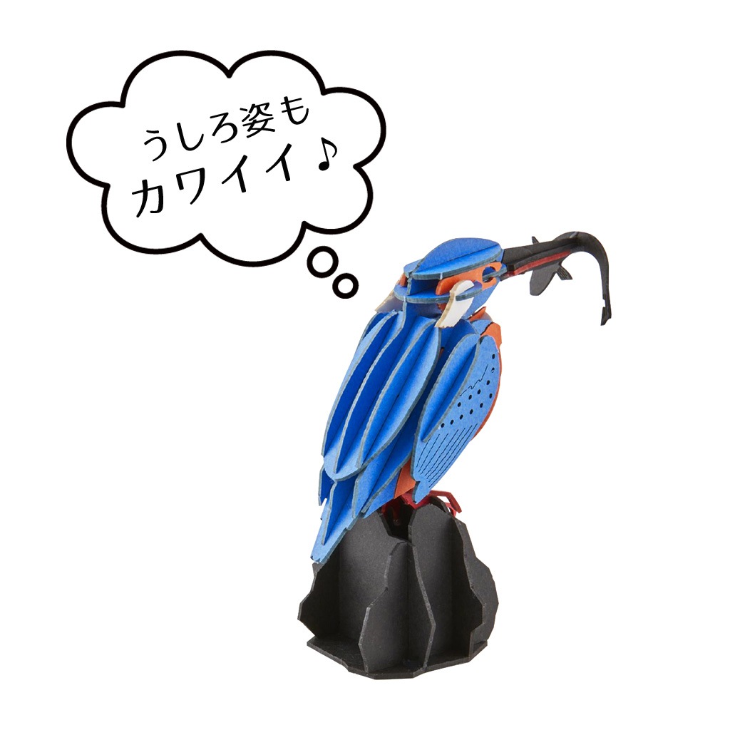 【限定15セット】父の日  ギフト ディスプレイ台付き カワセミ 雌 3D立体ペーパーパズル｜メッセージプレート付き