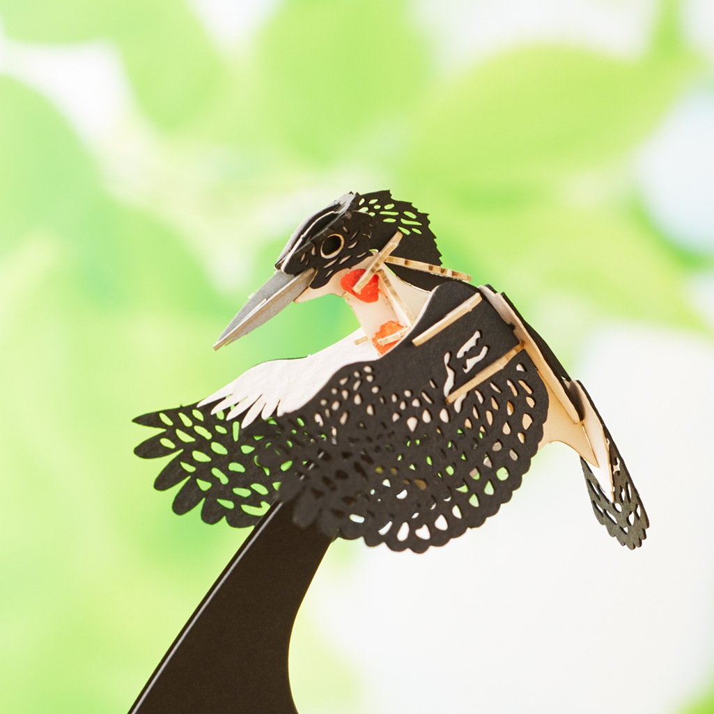 野鳥シリーズ　ヤマセミ Mountain Cicadas