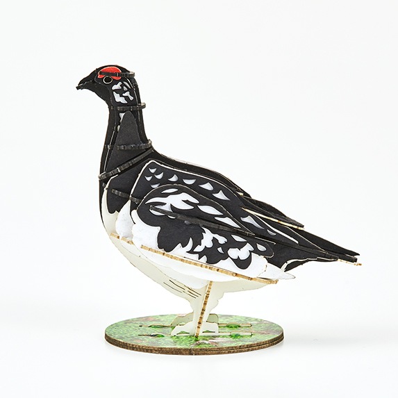 野鳥シリーズ ライチョウ-夏 Grouse-Summer | 野鳥シリーズ/Bird