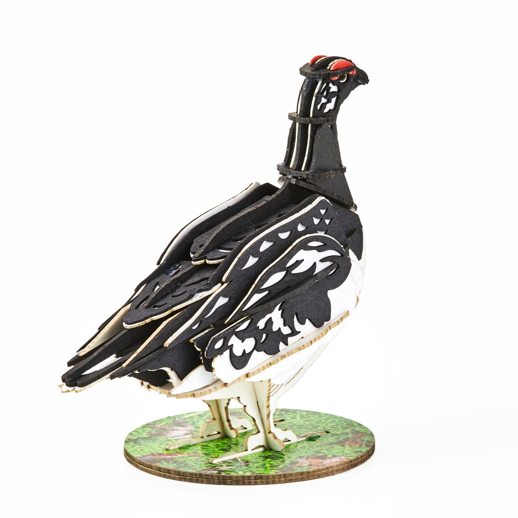 野鳥シリーズ ライチョウ-夏 Grouse-Summer | 野鳥シリーズ/Bird