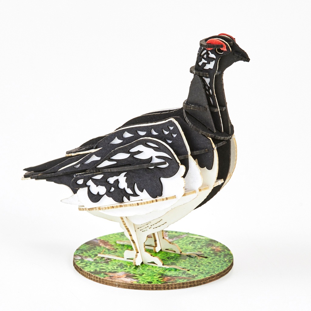 野鳥シリーズ　ライチョウ-夏 Grouse-Summer