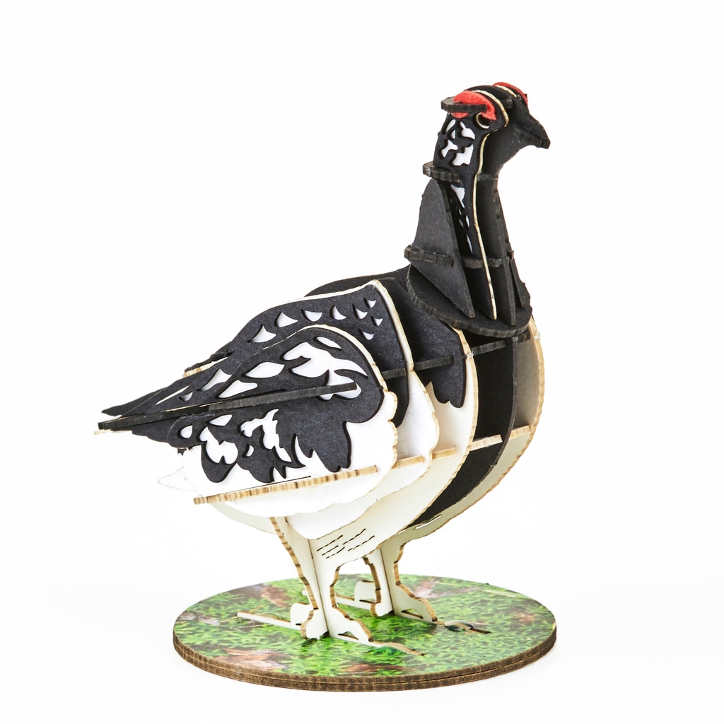 ライチョウ 野鳥シリーズ ライチョウ-夏 Grouse-Summer | 野鳥シリーズ/Bird