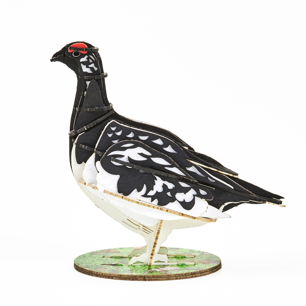 野鳥シリーズ ライチョウ-夏 Grouse-Summer | 野鳥シリーズ/Bird