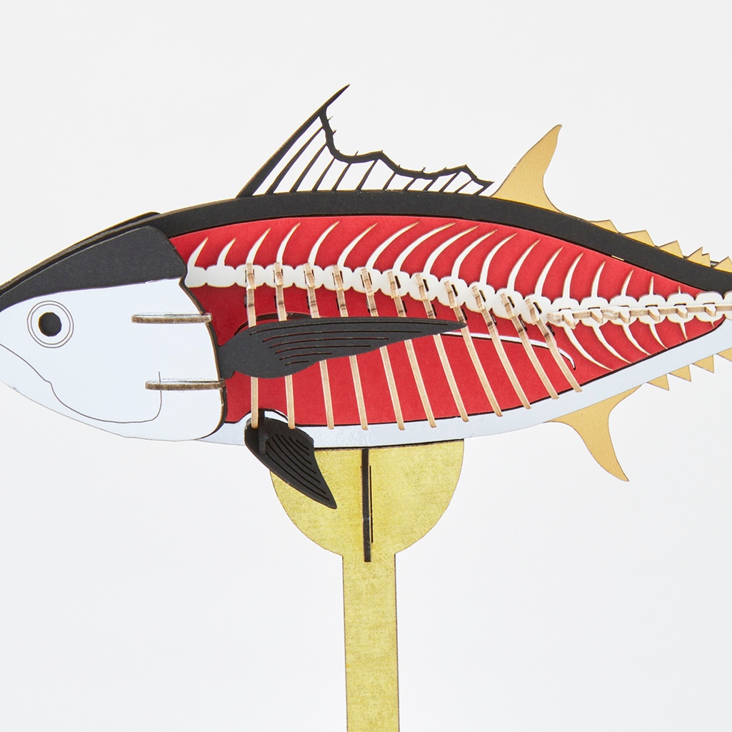 SWクロマグロスイング 3D立体ペーパーパズル