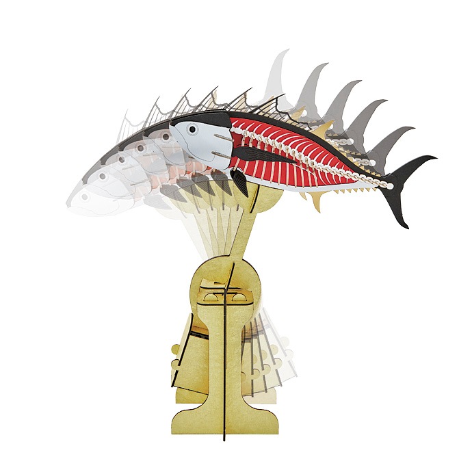 SWクロマグロスイング 3D立体ペーパーパズル | スイング(SW)シリーズ