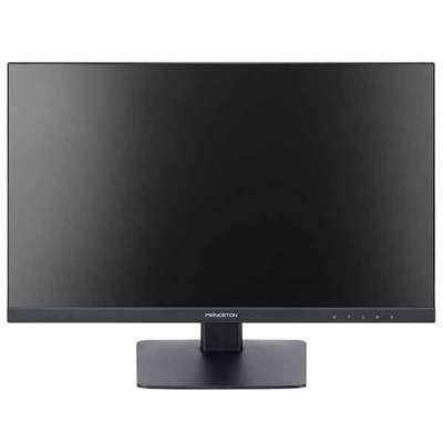 プリンストンテクノロジー 広視野角パネル 21.5型ワイドカラー