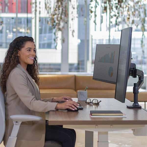 ERGOTRON LX デュアル ダイレクトアーム ハンドル付き