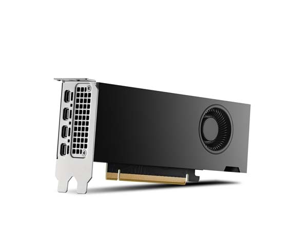 NVIDIA RTX 2000 Ada 世代 グラフィックボード NVIDIA RTX 2000 Ada 世代 | NVIDIA NVIDIA RTX/Quadroシリーズ