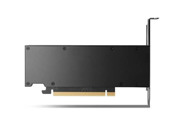 NVIDIA RTX 2000 Ada 16GB グラフィックボード NVIDIA RTX2000 Ada世代｜菱洋エレクトロ