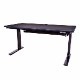 Thermaltake TOUGHDESK 300 Gaming Desk 電動昇降ゲーミングデスク｜GGD-EDN-BKEINX-01|ゲーミングチェア/デスク|ゲーミング｜eスポーツ