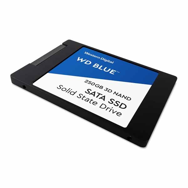 新品 WD Blue 3D NAND SATA WDS250G2B0A SSD