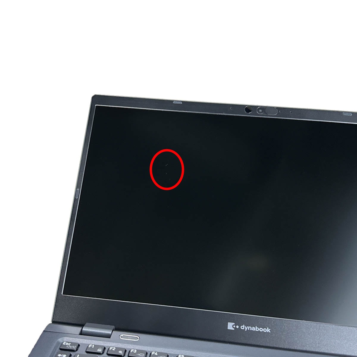 中古 dynabook P1-G6PN-BL 東芝 ノートパソコン Corei5 1135G7/20GB