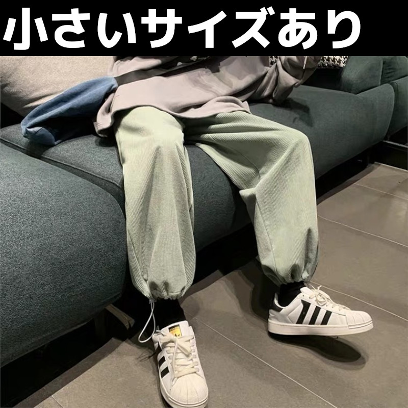 ڡ륫顼ʤդǥѥ() <C223>