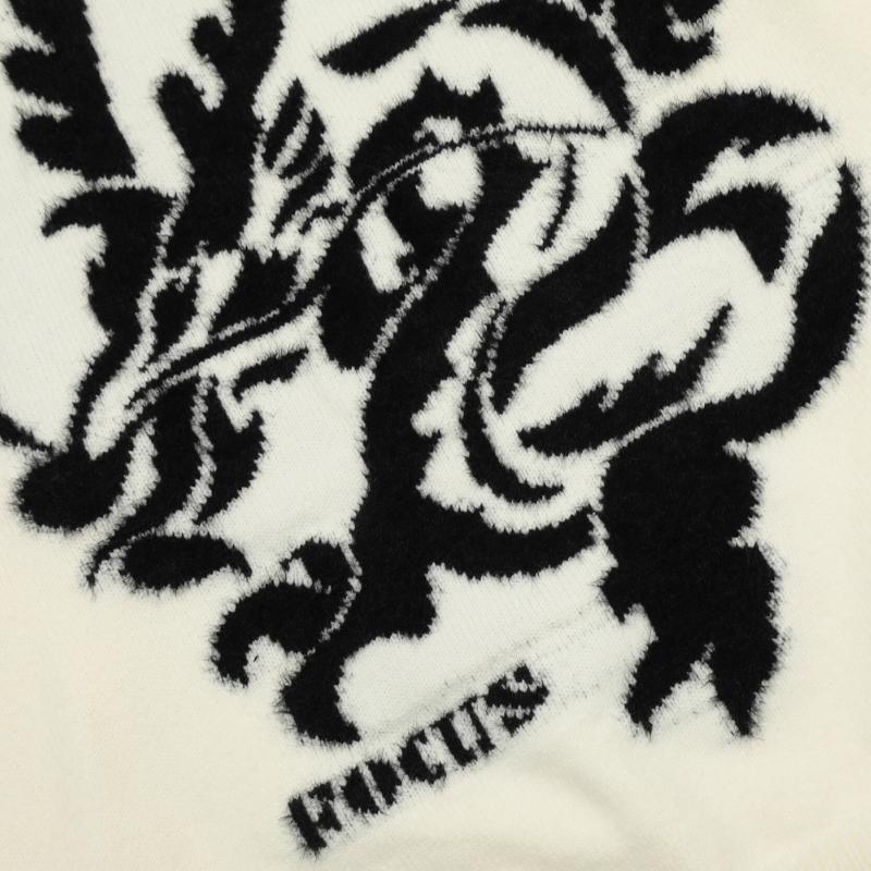 �ڸ���1����DRAGON FOCUS�˥å�