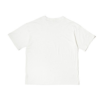 ��2���ե��ץ�å��奰��å���T����� <B386>