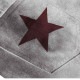 Star Motif������ơ����ǥ˥�ѥ�� <C408>