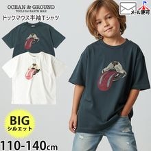 OCEAN&GROUND ȾµT����� �ӥå����륨�å� �ɥå��ޥ��� ������ץ��� �ˤλ� ���λ� ��˥��å��� ���å� �� ��100% �ӥå�T����� ��ä��� �ȥåץ� �Ҷ��� ��������󥢥�ɥ��饦��� 110 120 130 140 �� �� 4436101�ڥ᡼�����оݡ�