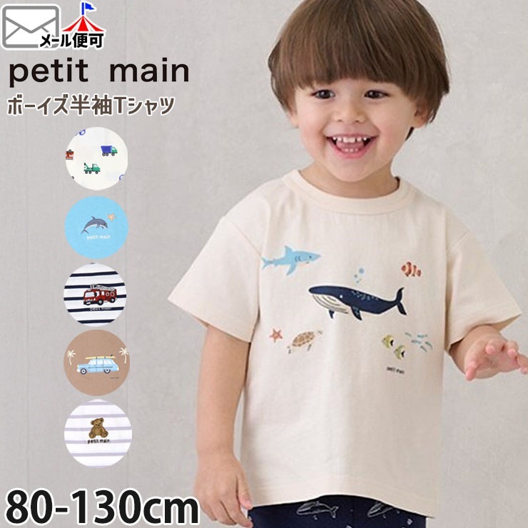 petit main ȾµT ܡ ٥  Ϥ Ϥ餯 եܡɥ  륫 ˤλ å  100%  ưʪ ȥåץ Ҷ ץƥޥ 100 110 120 130   9552201ڥ᡼оݡ