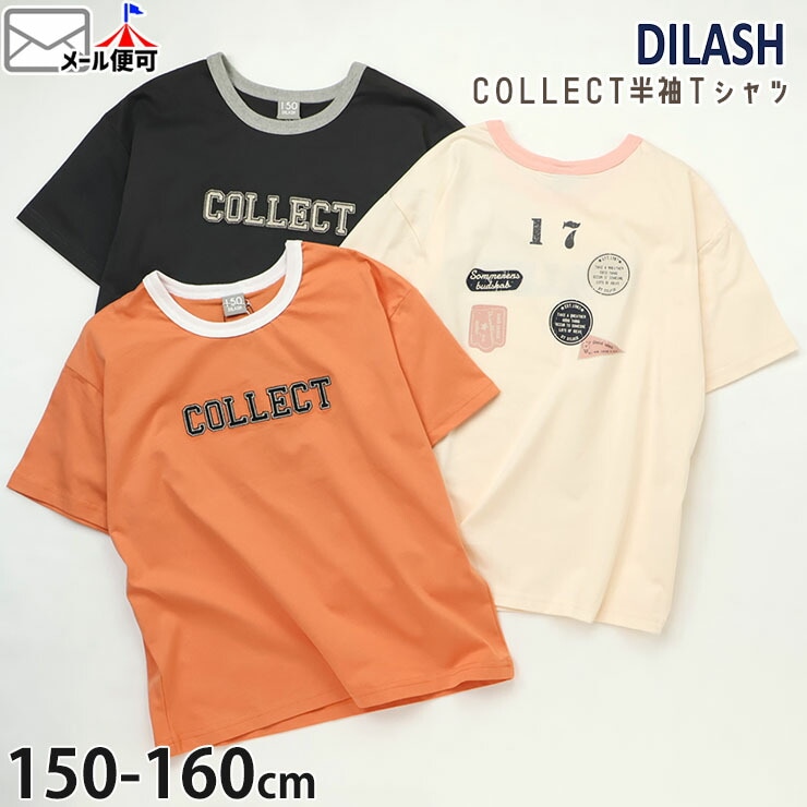 ȾµT����� COLLECT ��100% DILASH �ǥ���å��� DL25MS017�ڥ᡼�����оݡ�