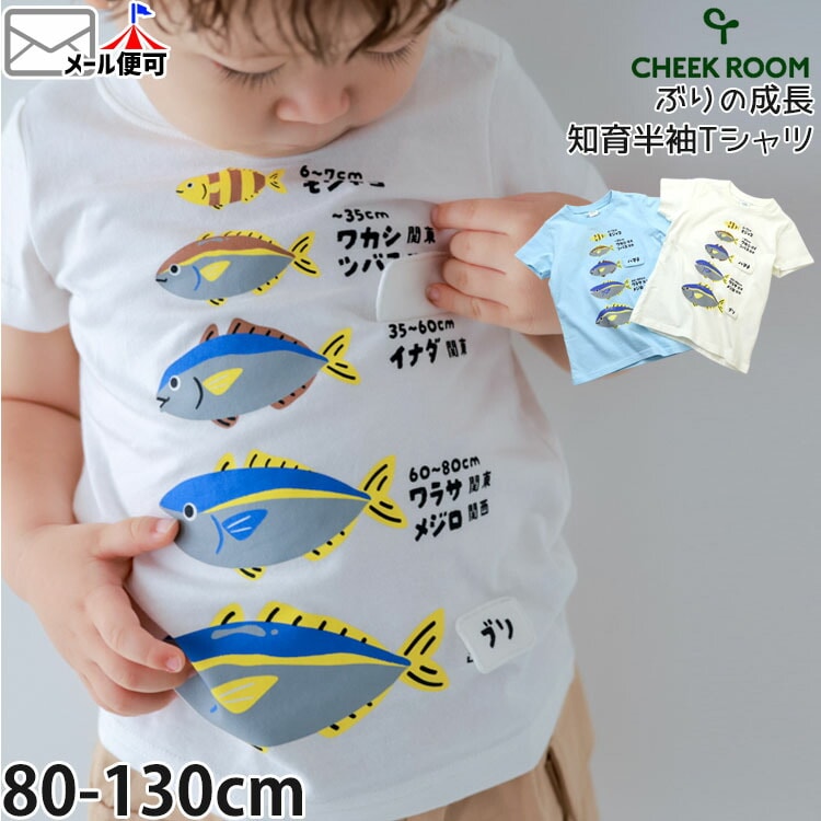 CHEEK ROOM ���å� ȾµT����� �֤����Ĺ �� �ΰ��� �ųݤ� �ˤλ� ���λ� ���å� �� ��100% ������ ���⤷�� Ⱦµ T����� �ȥåץ� �������롼�� 460153�ڥ᡼�����оݡ�