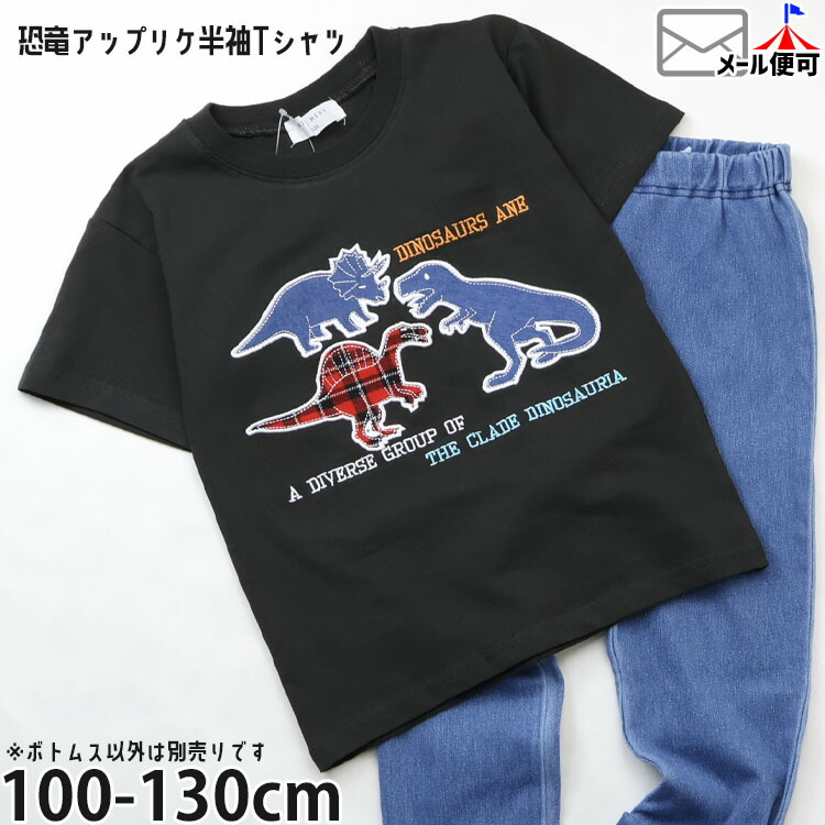 ���å� ȾµT����� ��ε ���åץꥱ ��100% Will Mery �������꡼ N36898�ڥ᡼�����оݡ�