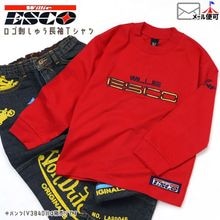 ĹµT����� �����ɤ��夦 ��100% Willie ESCO �����꡼������ EK2084-EY207�ڥ᡼�����оݡ�