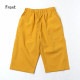 DILASH ϡեѥ 5ʬ ХǺ ̵ 顼 ˤλ å ˥ ղƽ ݥåդ ȥ Ⱦܥ ܥȥॹ Ҷ Ҷ ǥå 150 160  忧  DL25ES037ڥ᡼оݡ