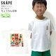 ȾµT   JAPAN Ǧ   ٤  ˤλ λ å  100% ץ ȥåץ ץT Ҷ Ҷ SKAPE  Υ 90 100 110 120 130  11333700ڥ᡼оݡ