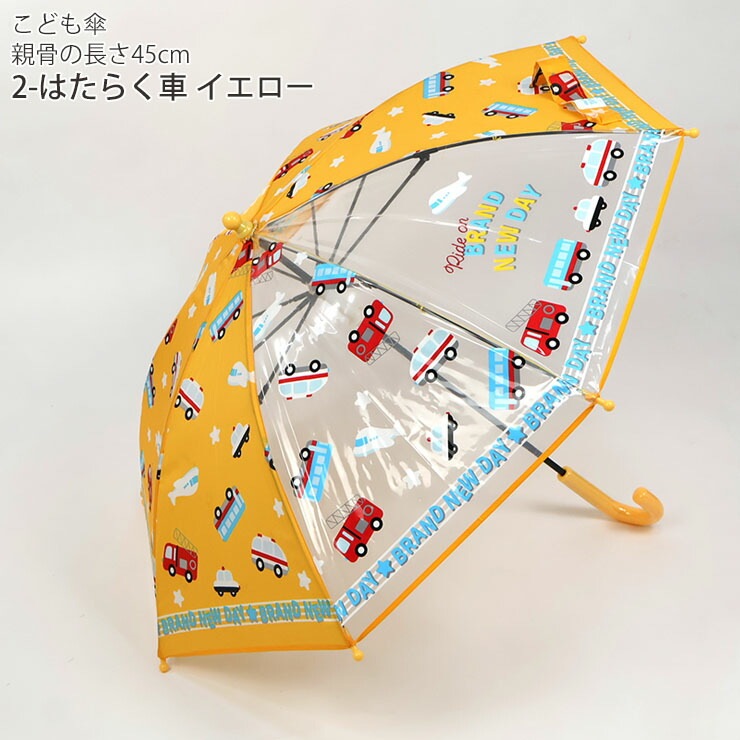 �� ���å� 45cm �ˤλ� Ʃ���� �Ҥɤ� �̱� ������� ���襤�� ȿ�ͺ� ��ñ���� ���饹�ե����С� �͡��ॿ���դ� sheil&sheil �����饢��ɥ����� she-002
