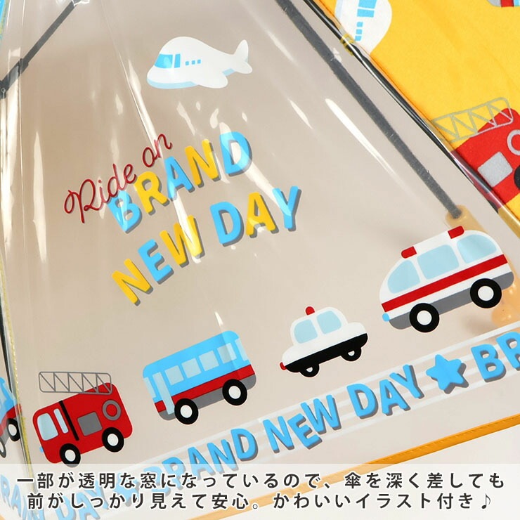 �� ���å� 45cm �ˤλ� Ʃ���� �Ҥɤ� �̱� ������� ���襤�� ȿ�ͺ� ��ñ���� ���饹�ե����С� �͡��ॿ���դ� sheil&sheil �����饢��ɥ����� she-002