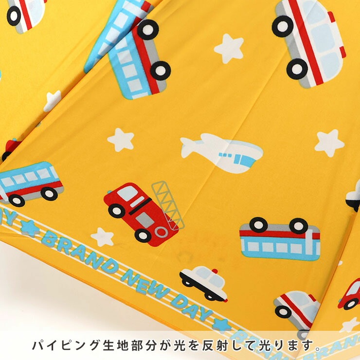 �� ���å� 45cm �ˤλ� Ʃ���� �Ҥɤ� �̱� ������� ���襤�� ȿ�ͺ� ��ñ���� ���饹�ե����С� �͡��ॿ���դ� sheil&sheil �����饢��ɥ����� she-002
