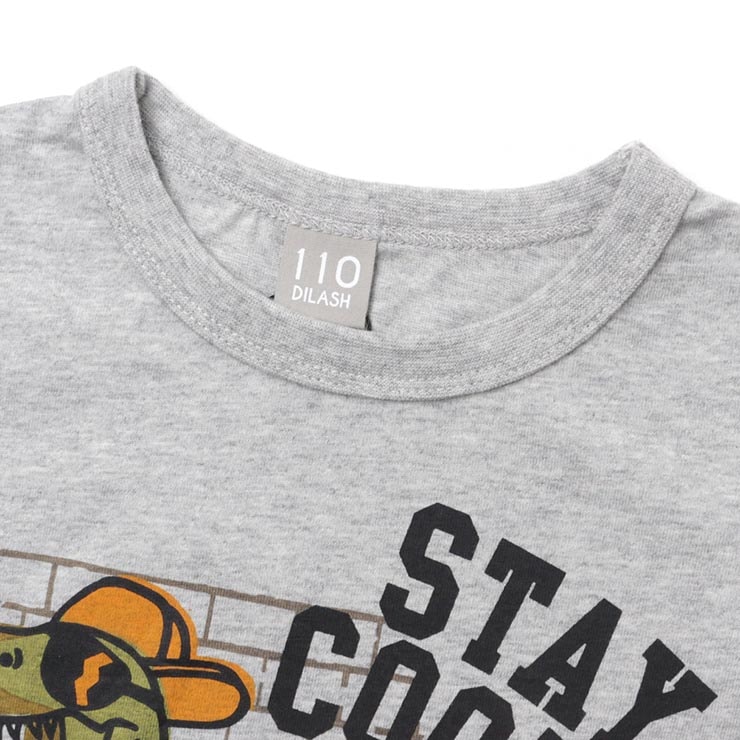 ĹµT����� 2�祻�å� ��ε �ʥ�С�17 �ˤλ� ���å� �ս� ��100% �ץ��� 2���Ȥ� ����T ���󥰥��꡼�� �ȥåץ� �Ҷ� �Ҷ��� DILASH �ǥ���å��� 100 130 140 DL22AU030�ڥ᡼�����оݡ�