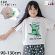FOV ���å� ȾµT����� ��� ������ץ��� �ˤλ� ���λ� ���å� �� ��100% Ⱦµ T����� �ȥåץ� �Ҷ��� �ե��� 605481�ڥ᡼�����оݡ�
