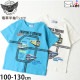 ȾµT ż ϩ ˤλ å  100%  Ŵƻ 饹 ץ ȥåץ Ҷ Ҷ EAST BLUE ȥ֥롼 100 110 120   E33900ڥ᡼оݡ
