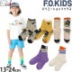 F.O.KIDS  롼 ˤλ λ å ˥ 롼å DUCKROW GRN Ҷ     ꡼    եå fok-sox1ڥ᡼оݡ