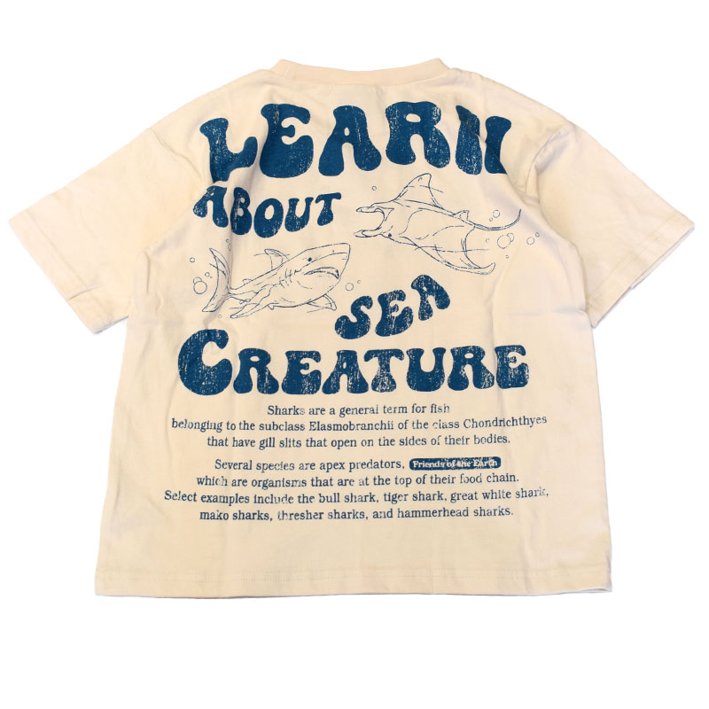オフィシャルチーム クールタッチ海洋生物Tシャツ 1125420