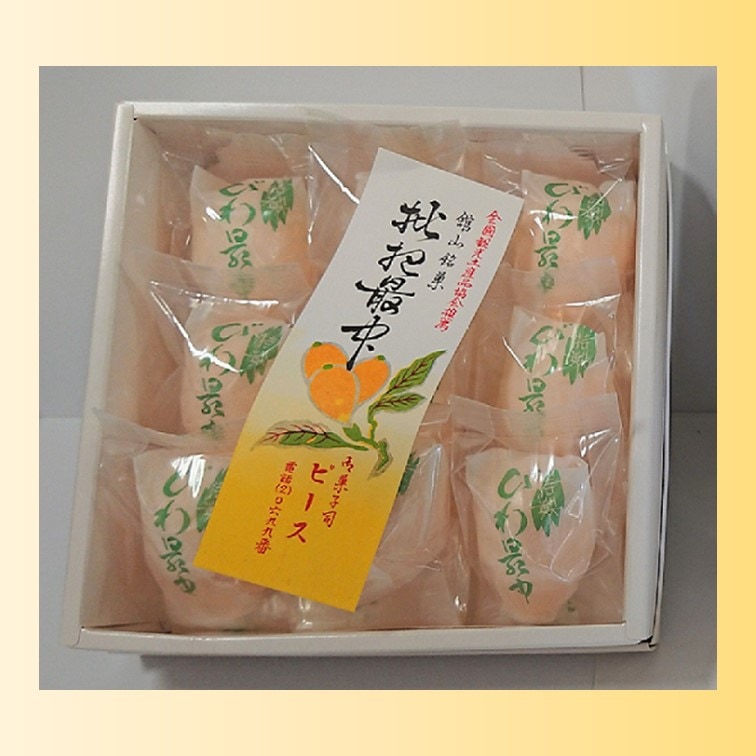 びわ最中9個入り