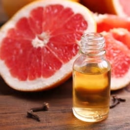 (NEW)GSE(���졼�ץե롼�ĥ�����,�������ȥ饯��)