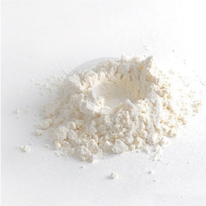 ���륯�ѥ�����