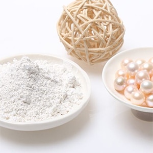 �񻺡���γ�ҿ���ѥ������ʥѡ���ѥ�������